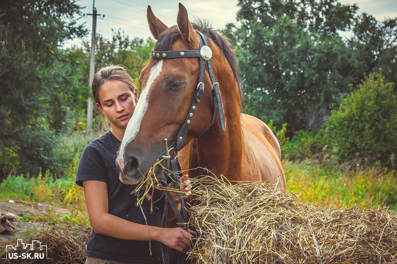 лошадь и девушка