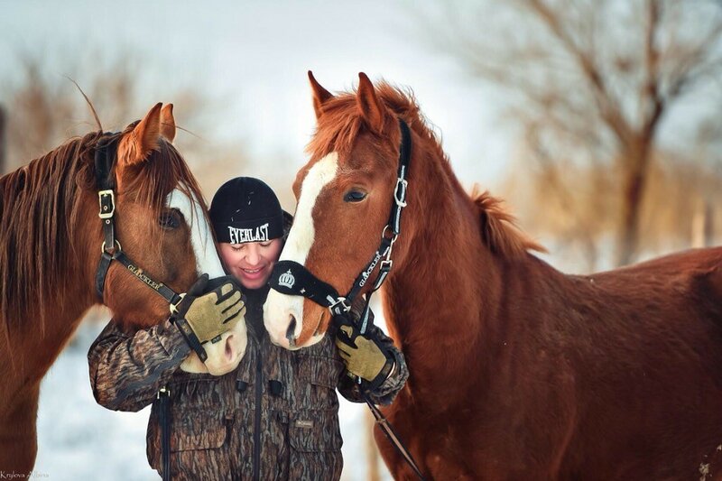 Алексей Теняков и лошади